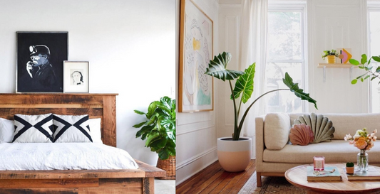 The Ultimate Guide to Home Decoration Plants: Boost Your Feng Shui with Greenery and Crystals